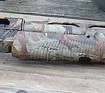 Benelli nova camo.jpg