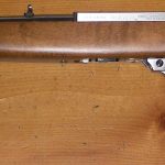 Ruger-1022.jpg