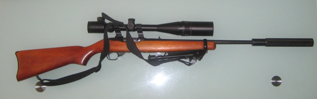 Ruger 1022 rifle (with suppressor).jpg